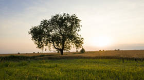 Climate change is good for British farmers – environment secretary