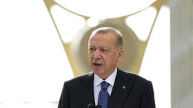 Ukraine needs more than ‘advice’ from West – Erdogan