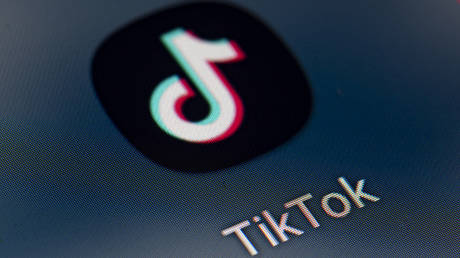 On the screen of a smartphone you can see the icon of the app TikTok. © Fabian Sommer / Picture Alliance via Getty Images