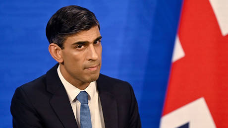 Rishi Sunak looks on as he speaks during a press conference in the Downing Street briefing room in London, Britain, February 3, 2022 © AP / Justin Tallis