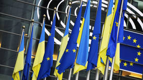 EU comments on warplanes for Kiev