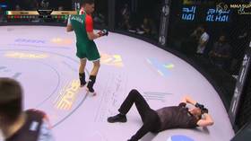 MMA referee gets flattened by wild spinning kick (VIDEO)