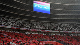 Polish fans insult Russians during World Cup clash (VIDEO)