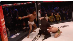Fans enthralled as MMA fighter lands stunning ‘Knockout of the Year’ contender (VIDEO)