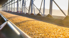 Russia keeps grain flowing abroad