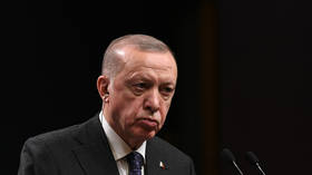 Ukraine crisis shows value of Turkey to West – Erdogan