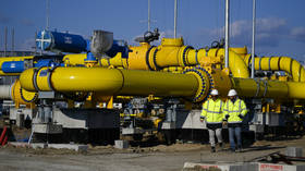 Bulgarians want Russian gas back – minister