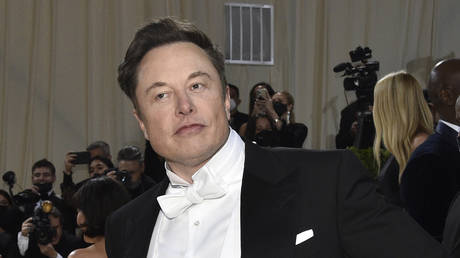 Elon Musk attends The Metropolitan Museum of Art's Costume Institute benefit gala in New York, May 2, 2022 © AP / Evan Agostini