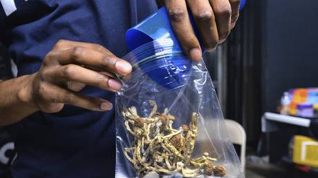 FILE PHOTO: A vendor bags psilocybin mushrooms at a pop-up cannabis market in Los Angeles, California, May 24, 2019 © AP / Richard Vogel