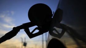 Americans change habits as fuel costs bite – poll
