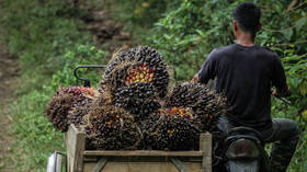 Major palm oil producer mulls solution to supply crisis