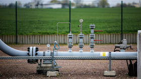 German firm meets key demand on Russian gas payment