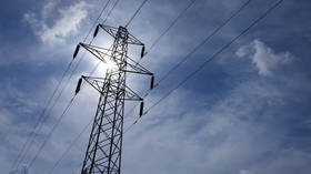 Russia halts electricity supply to Finland