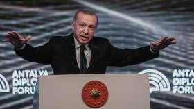 Turkey opposes Finland and Sweden's NATO bids – Erdogan