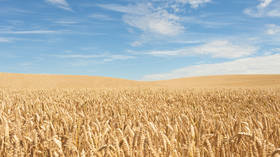 Russia responds to EU’s offer on Ukraine's grain