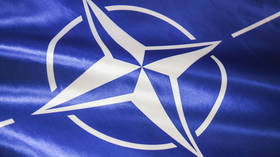 NATO member blocks Sweden and Finland's accession talks – media