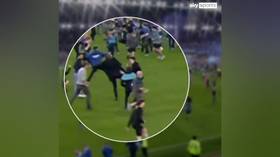 Premier League legend fights fan in more pitch invasion shame (VIDEO)