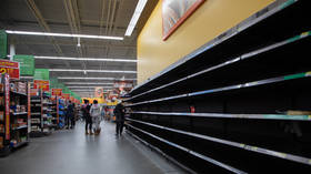 Lift sanctions to help ease food crisis – Putin