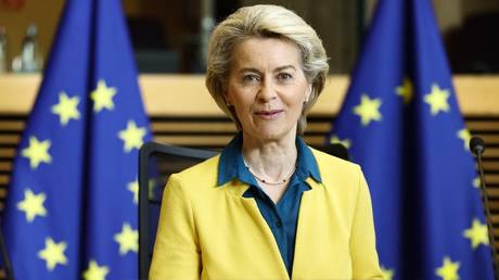 European Commission President Ursula von der Leyen © AFP / Kenzo Tribouillard