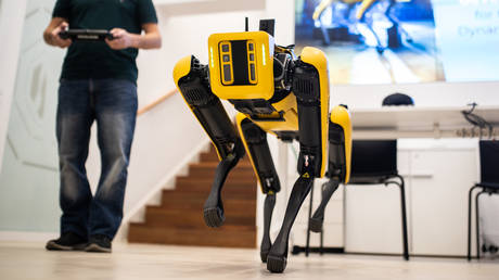 Boston Dynamics' Spot the robot dog.