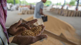 India explains wheat export ban