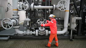 German industry warns against Russian gas embargo