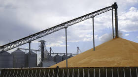 US won’t ease Russia sanctions for grain deal – Politico