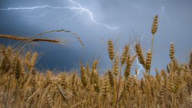 Bad harvest forecast for EU