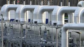 Germany on verge of gas emergency ‘alarm stage’ – Die Welt