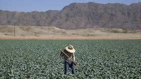 US farmers hit by chemical shortages – Reuters