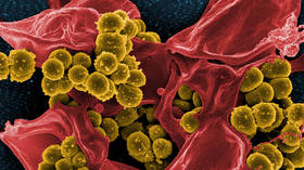 Study sounds alarm over antibiotic resistant bacteria