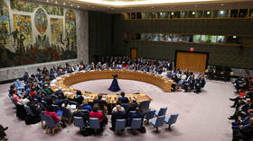 Russia comments on UN Security Council expansion prospects