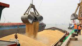 EU has shipped millions of tons of Ukrainian grain – Borrell