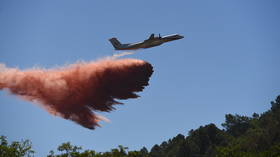 Major wildfire erupts in southeast France (VIDEOS, PHOTOS)