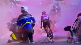 Tour de France hit by eco protesters (VIDEO)