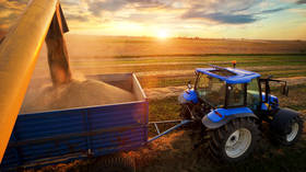 Bumper grain harvest predicted for Russia