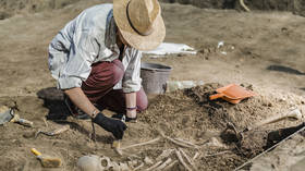 Scientists urged to de-gender human remains