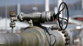 Ukraine should ‘confiscate’ Russian gas – politician