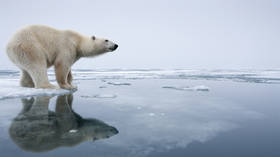 Russia warns about dangers to the Arctic