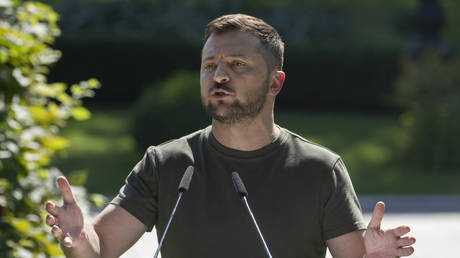 FILE PHOTO: Vladimir Zelensky speaks at a news conference in Kiev, Ukraine, July 28, 2022 © AP / Efrem Lukatsky