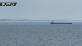 WATCH first ship with Ukrainian grain depart after landmark deal