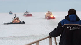 Freight traffic growing in Russia’s Arctic – official