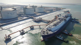 Major LNG supplier considers curbing exports
