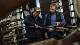 Ukraine to soon legalize guns – minister