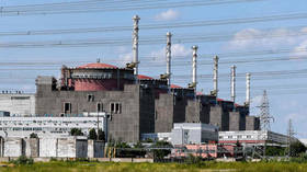 EU ‘blatantly lying’ about threat to Zaporozhye nuclear plant – Moscow