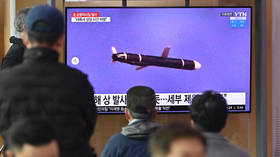 North Korea fires two cruise missiles – media
