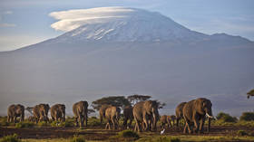 Climbers can now share selfies from Africa's tallest mountain