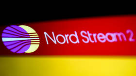 Top German politician makes Nord Stream 2 plea