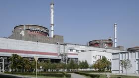 Ukrainian spies detained at nuclear plant – Russia