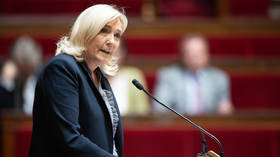 Macron lying about source of economic crisis - Le Pen